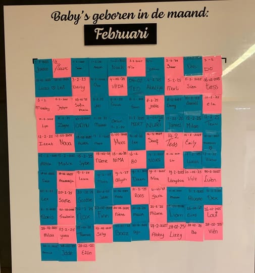 Geboortes februari